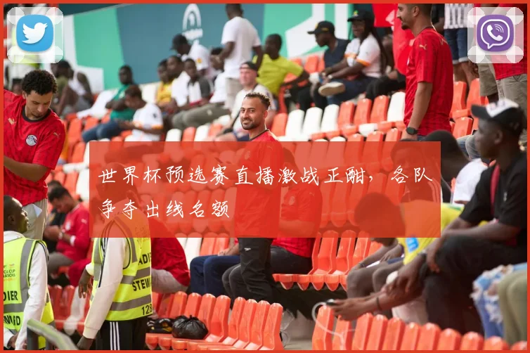 世界杯预选赛直播激战正酣,各队争夺出线名额