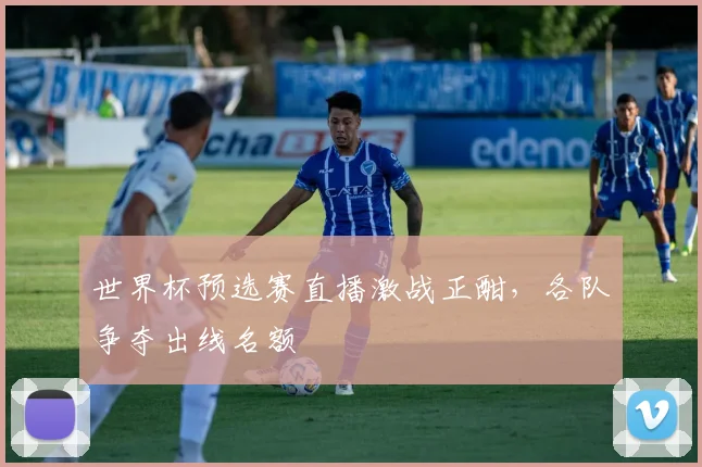 世界杯预选赛直播激战正酣,各队争夺出线名额