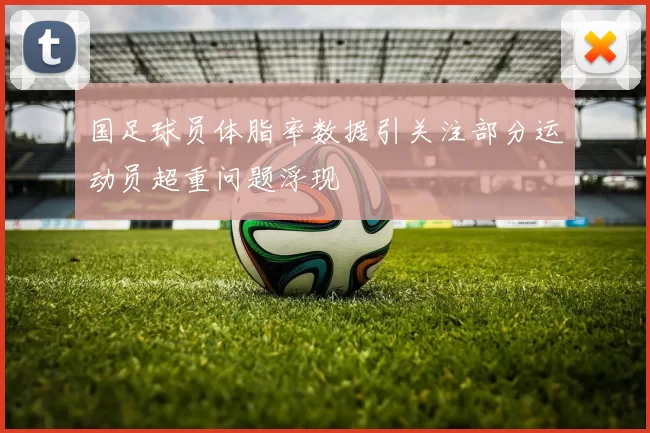 国足球员体脂率数据引关注部分运动员超重问题浮现
